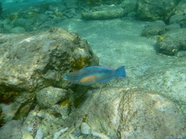 P1040290