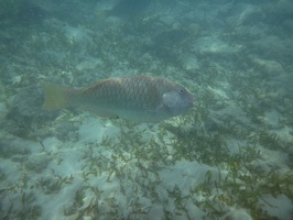 P1040153