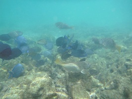 P1040182