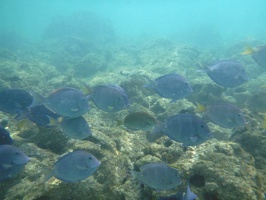 P1040184