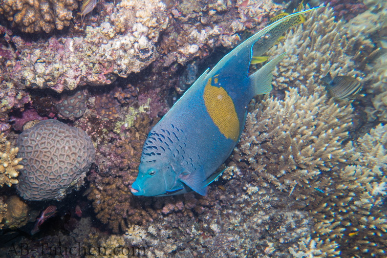 Hurghada-02124.jpg