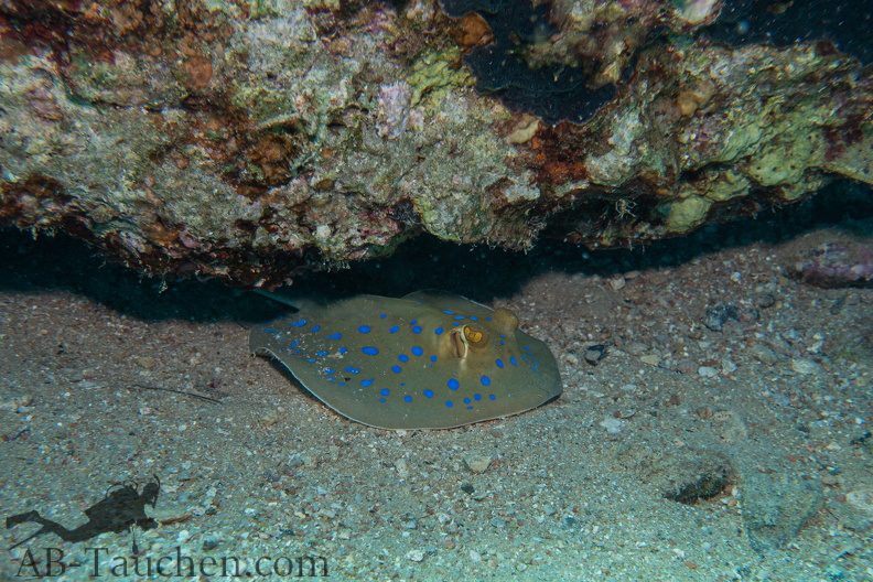Hurghada-02379.jpg